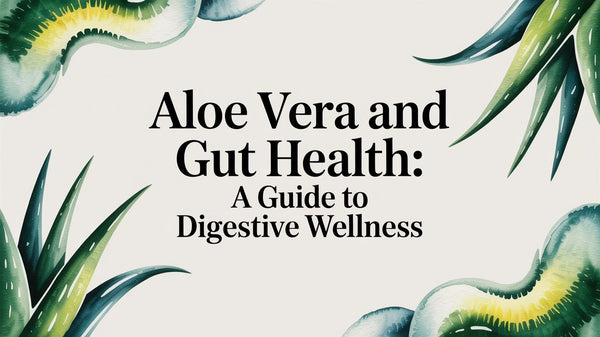 reine aloe vera Aloe Vera Gel ✓ bio ✓ vegan ✓ hochkonzentriert ✓ – reineoele