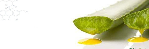 Aloin: What it is & Why to avoid it - AloeCure