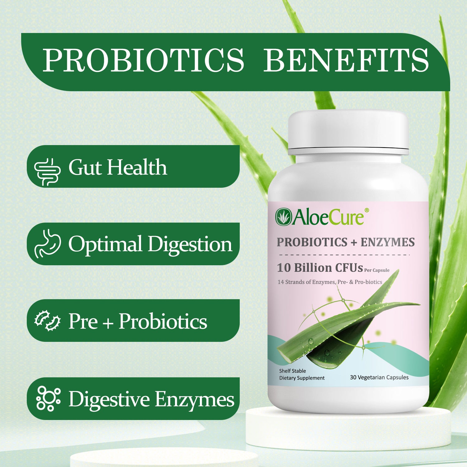 Mezcla de pre+probióticos y enzimas digestivas