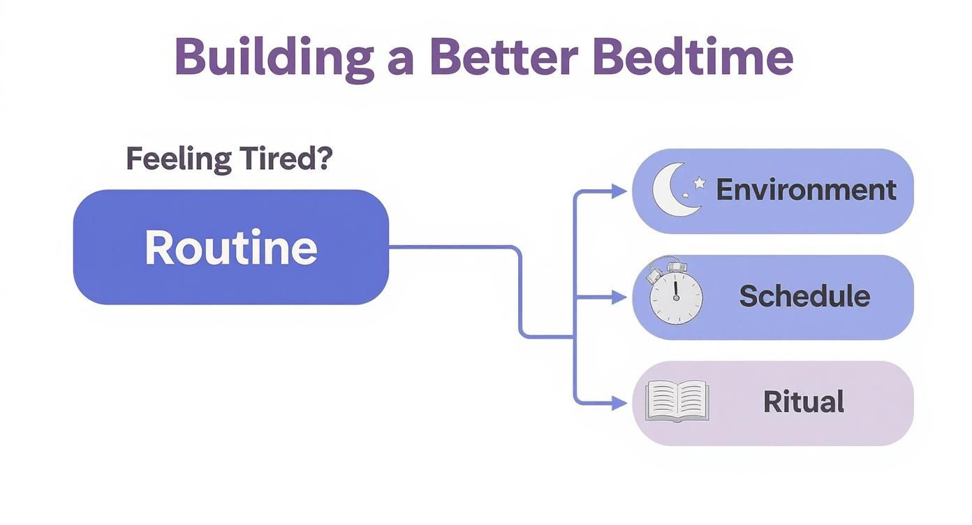 Natural Support for Restful Nights