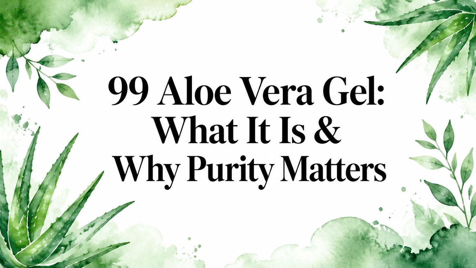99% Aloe Vera Gel: What It Is & Why Purity Matters