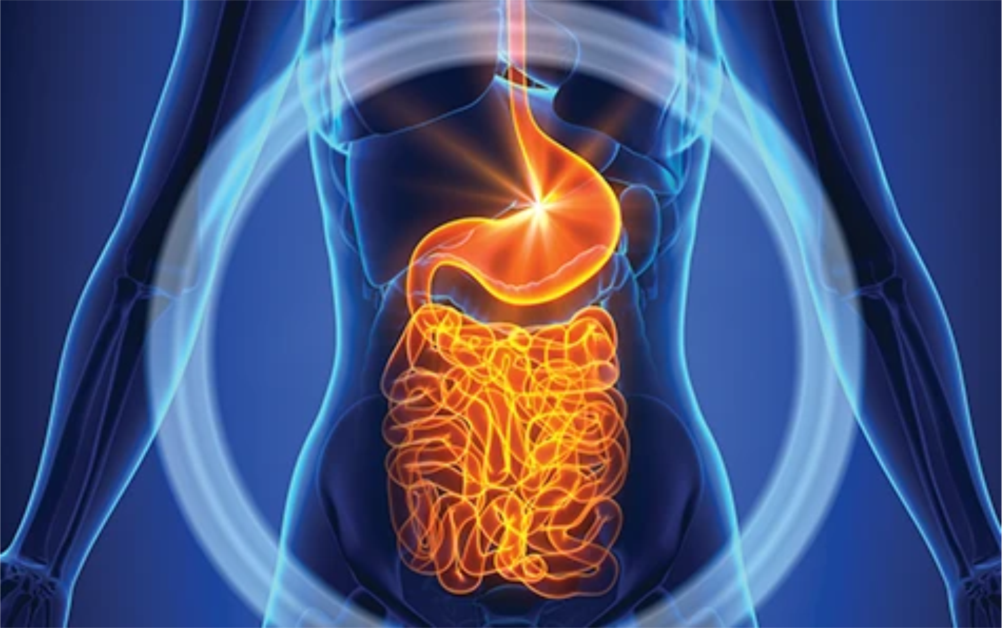 Digestive Health: 5 Foods to Stay Away From