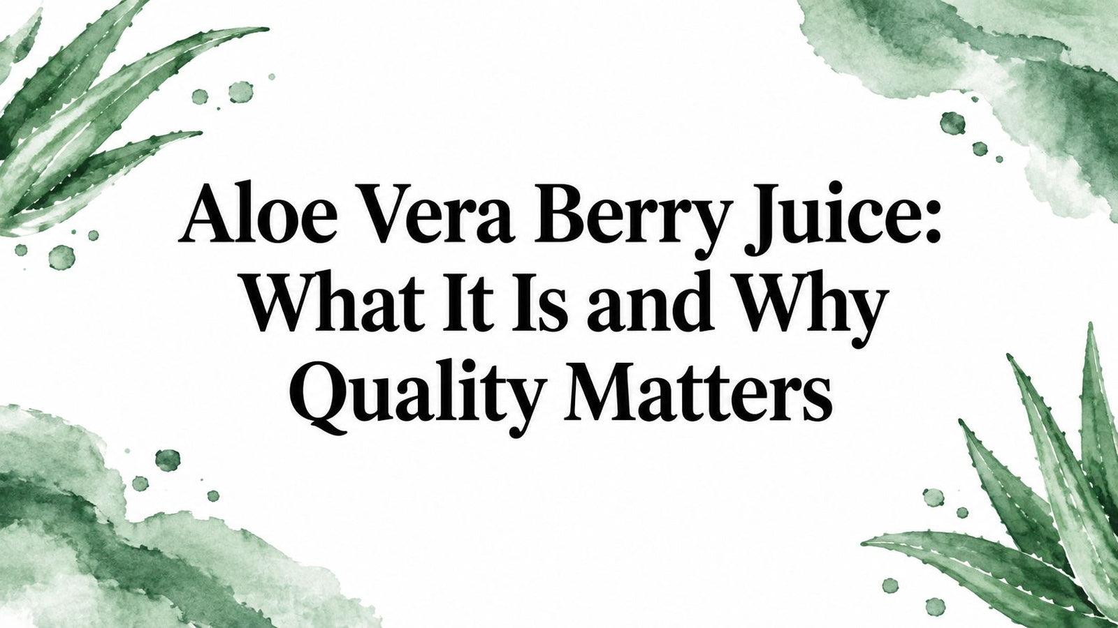 Aloe Vera Berry Juice: What It Is and Why Quality Matters
