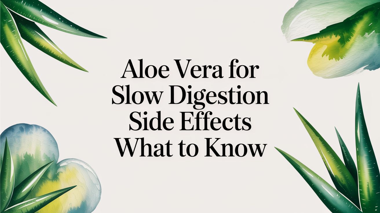 Aloe Vera for Slow Digestion Side Effects What to Know