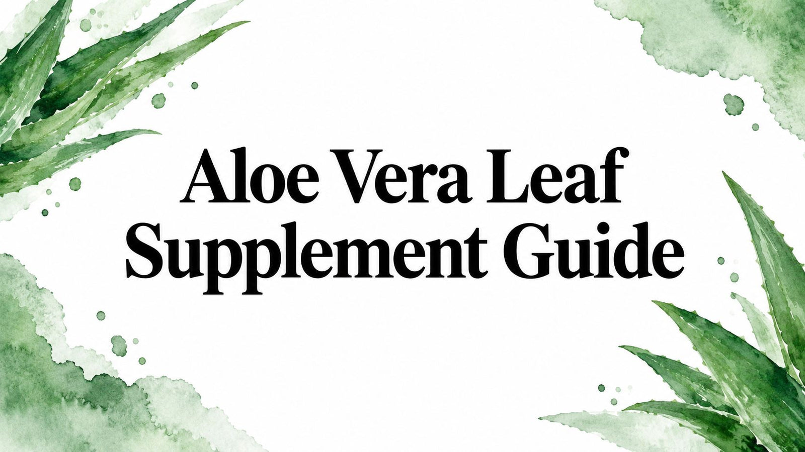 Aloe Vera Leaf Supplement Guide
