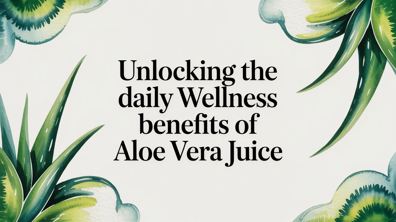Unlocking the Daily Wellness Benefits of Aloe Vera Juice