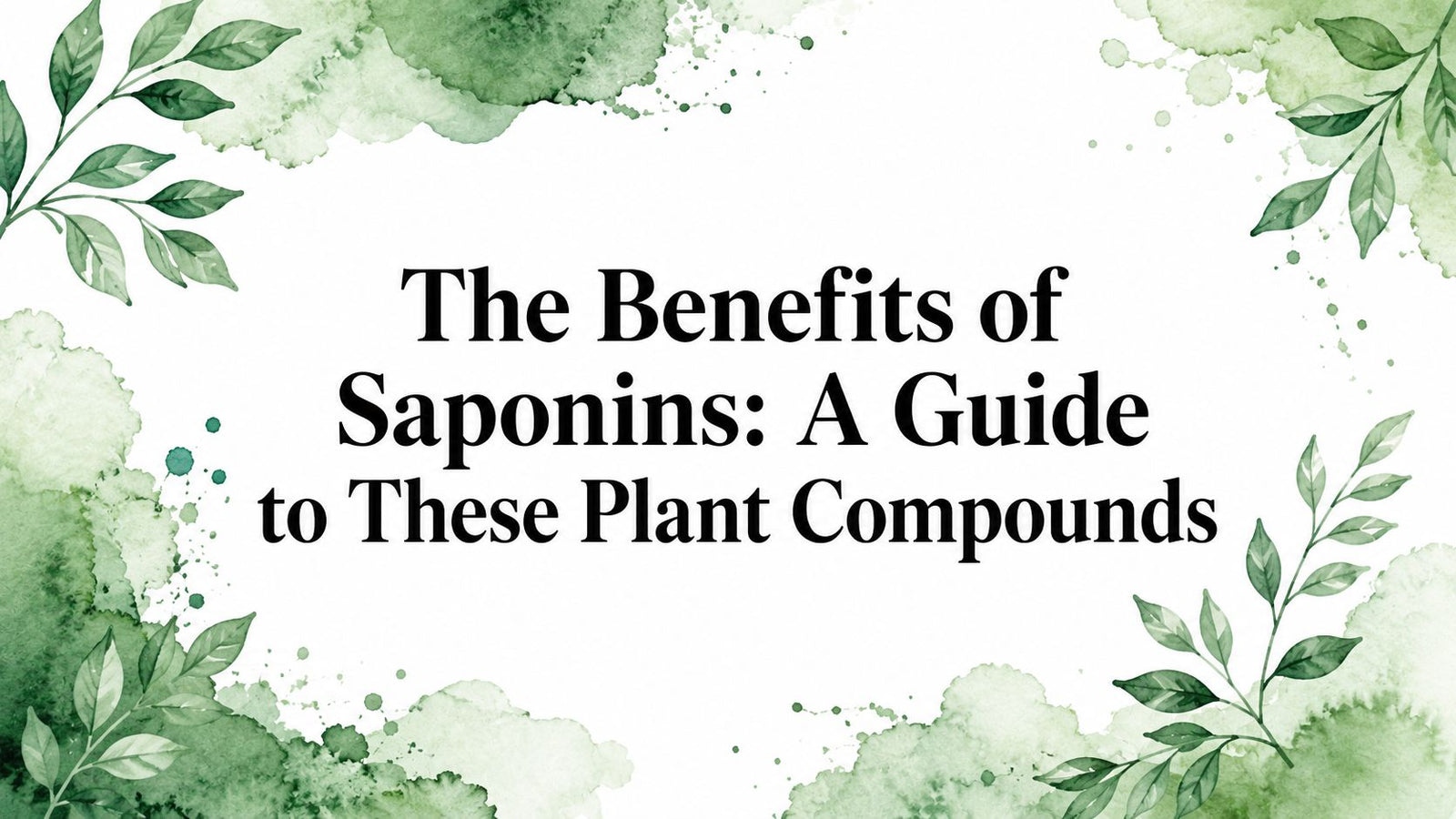 The Benefits of Saponins: A Guide to These Plant Compounds