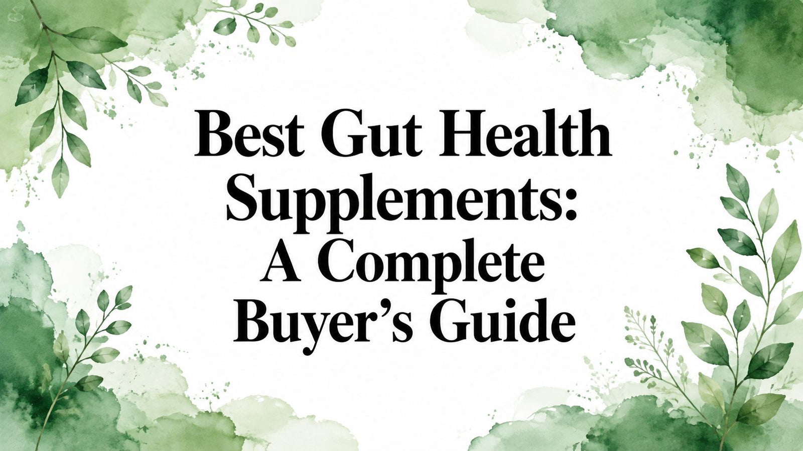 Best Gut Health Supplements: A Complete Buyer’s Guide