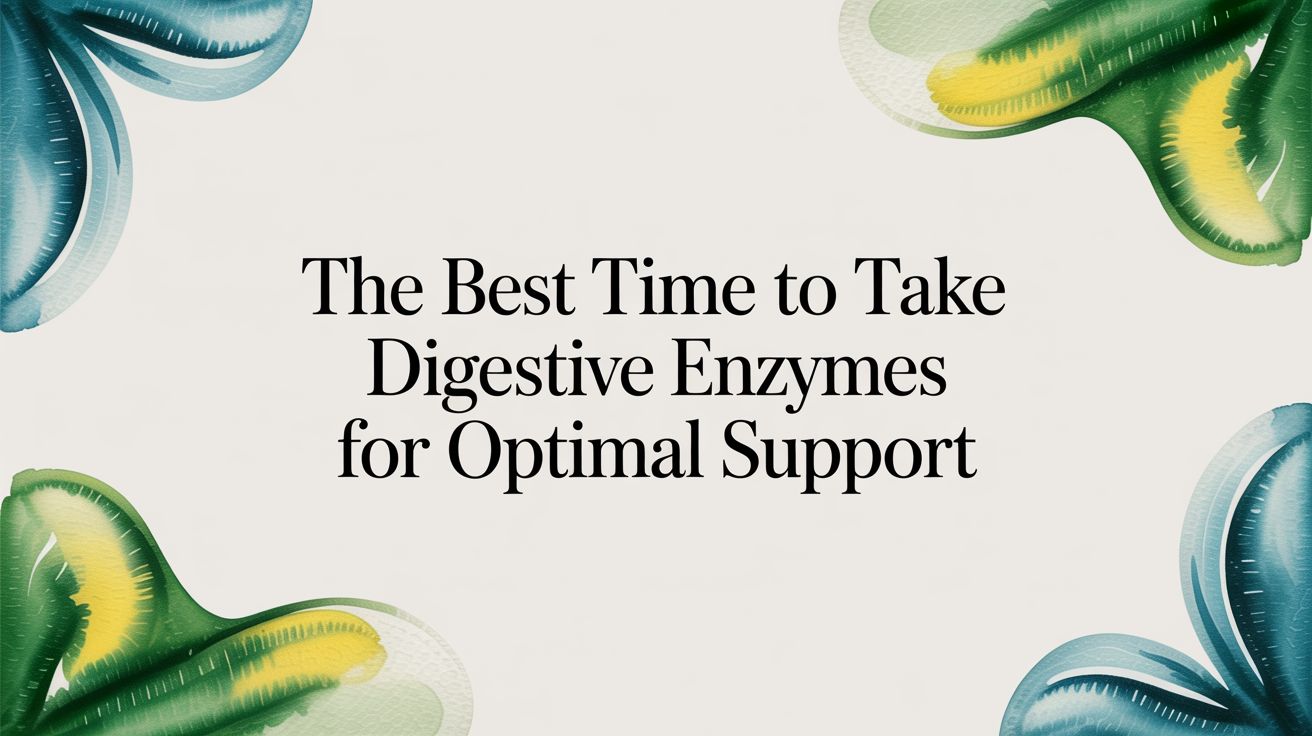 The Best Time to Take Digestive Enzymes for Optimal Support