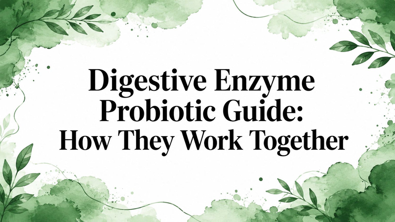 Digestive Enzyme Probiotic Guide: How They Work Together