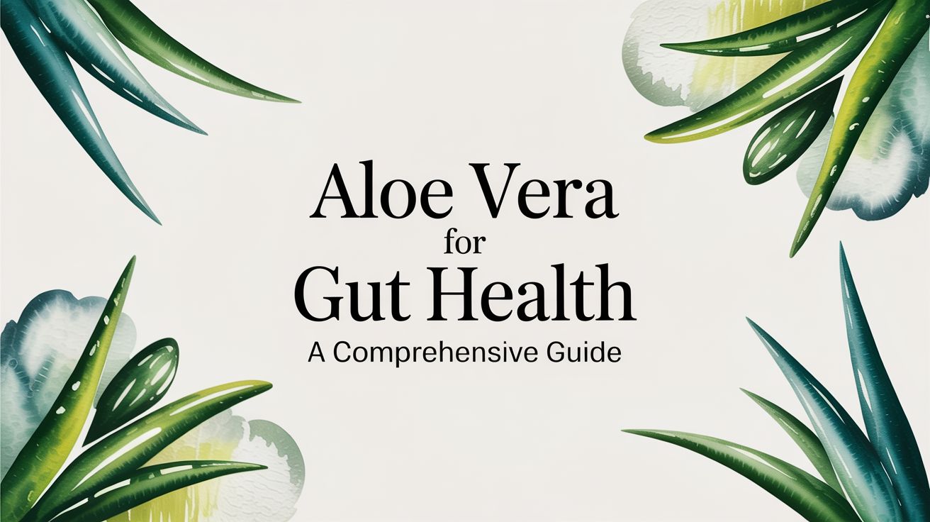 Aloe Vera for Gut Health A Comprehensive Guide