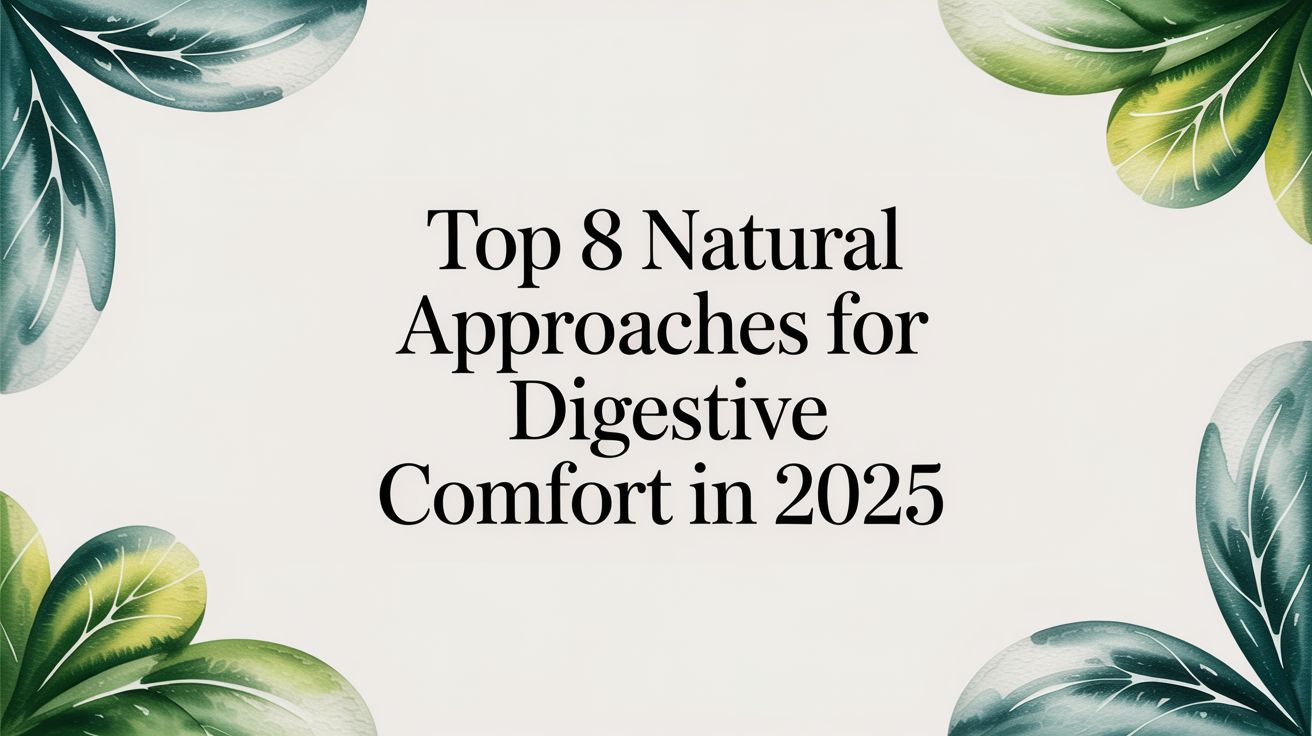 Top 8 Natural Approaches for Digestive Comfort in 2025