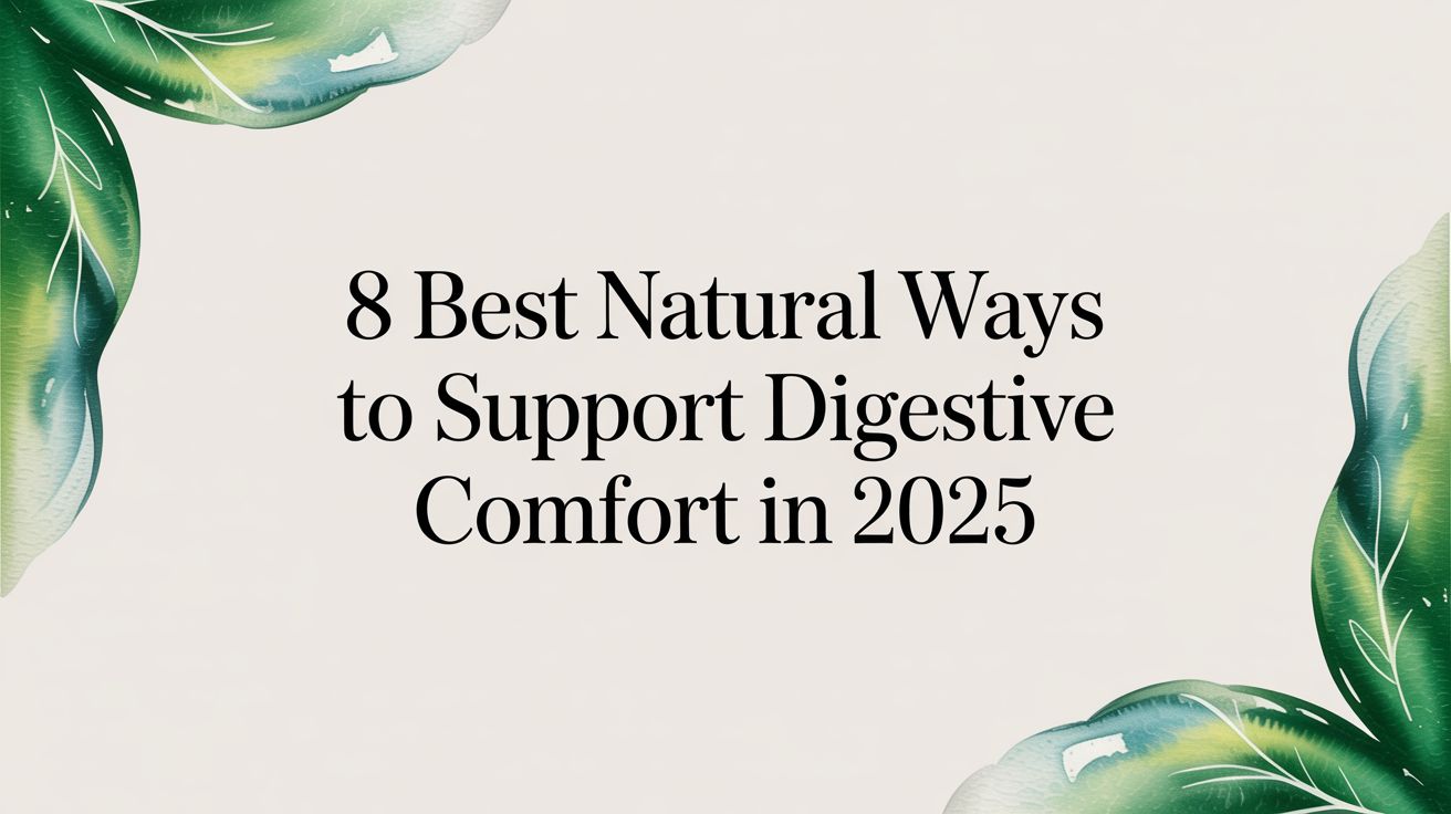 8 Best Natural Ways to Support Digestive Comfort in 2025