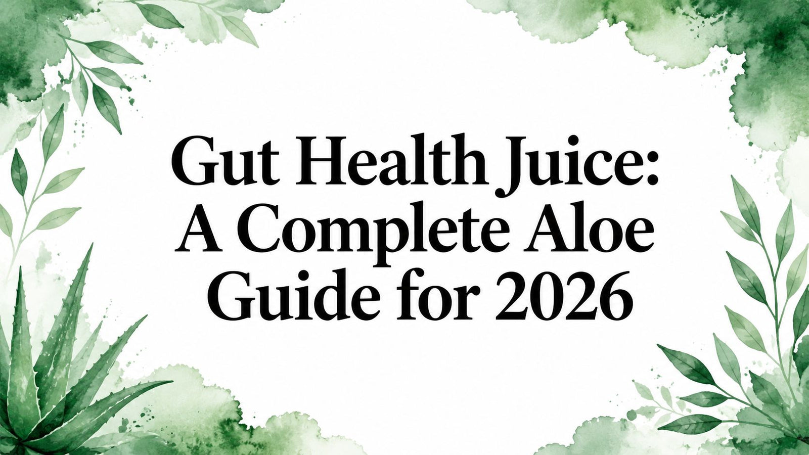 Gut Health Juice: A Complete Aloe Guide for 2026