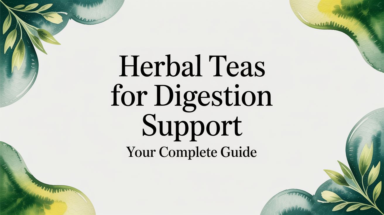 Herbal Teas For Digestion Support: Your Complete Guide