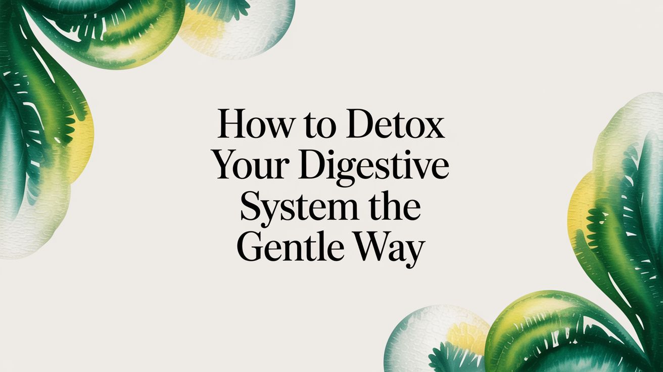 How to Support Your Digestive System The Gentle Way