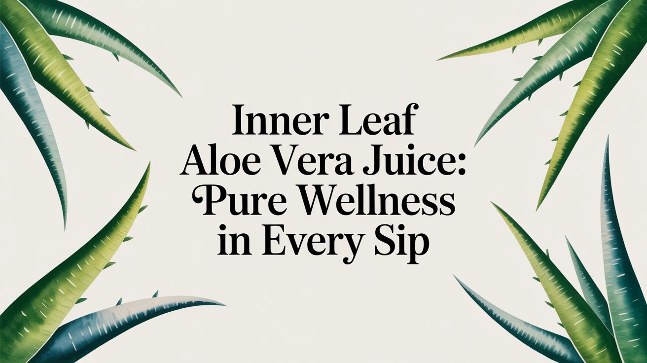 Inner Leaf Aloe Vera Juice: Pure Wellness in Every Sip