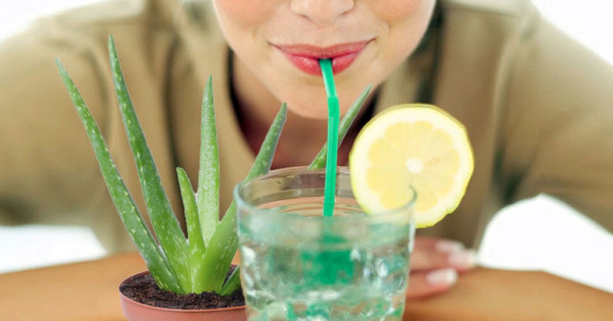 Is Aloe Vera Edible? Benefits of Aloe Vera for Digestive Health - AloeCure