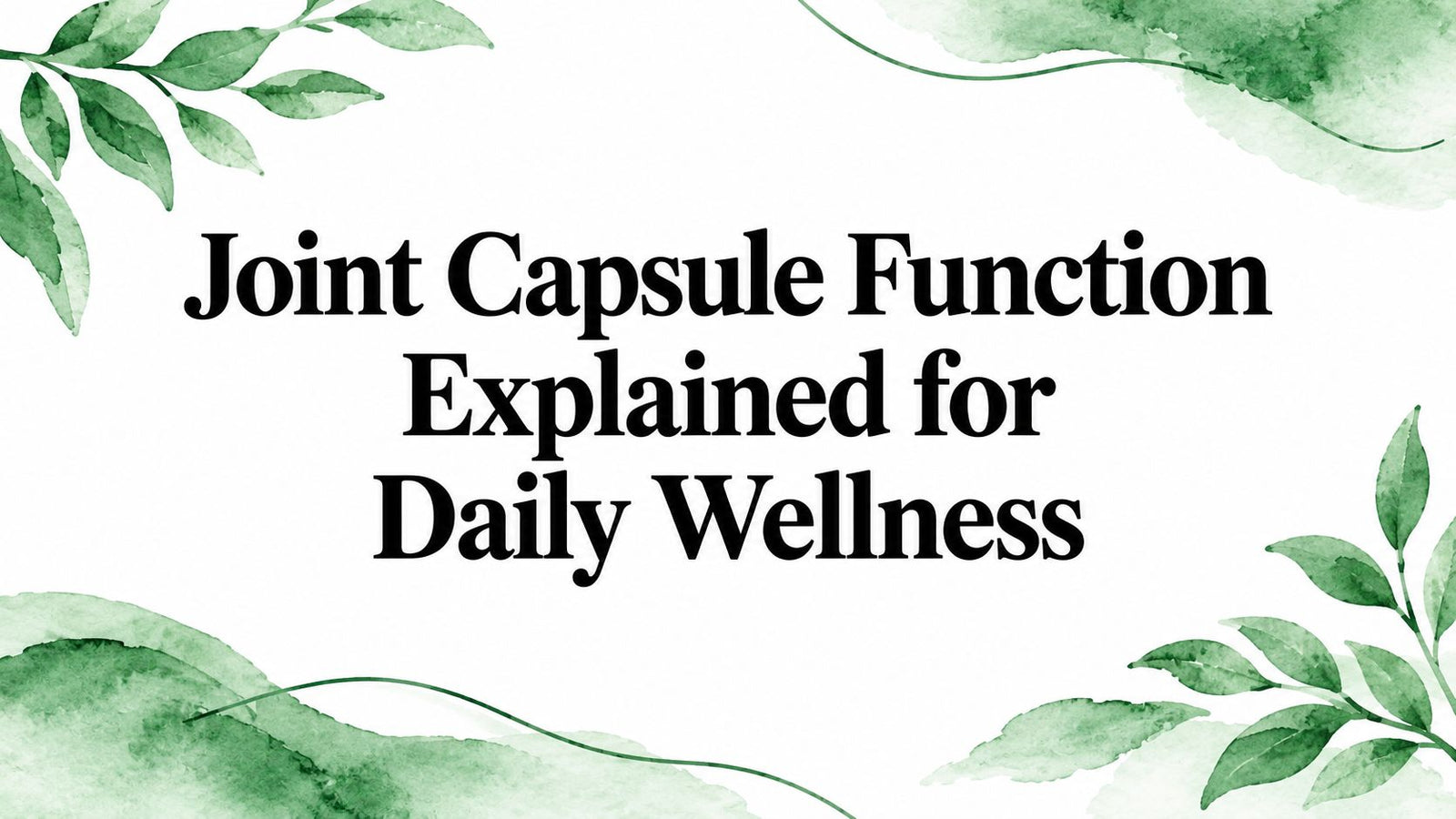 Joint Capsule Function Explained for Daily Wellness