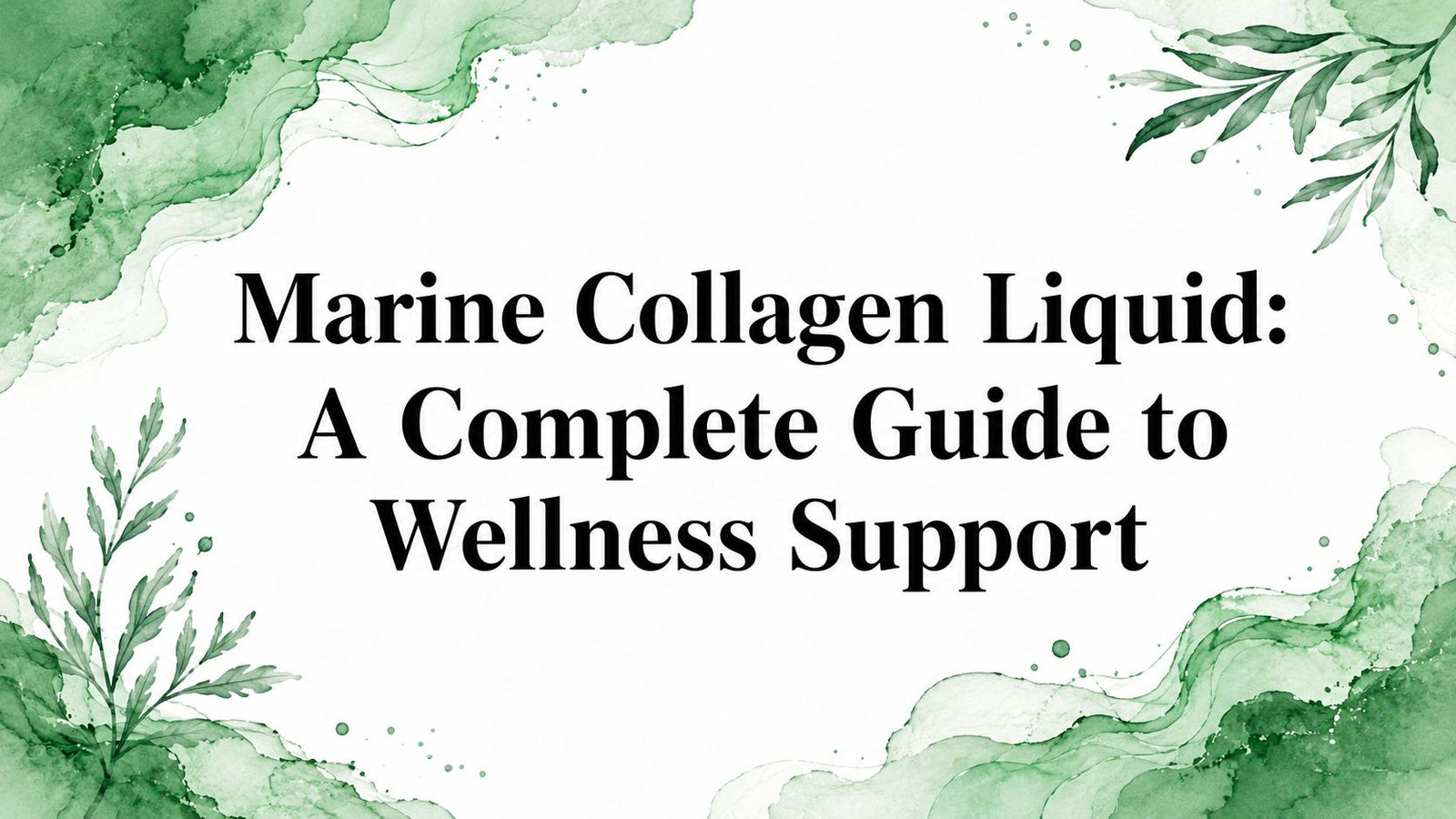 Marine Collagen Liquid: A Complete Guide to Wellness Support