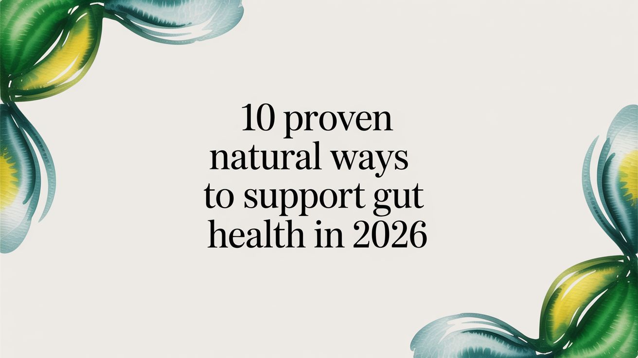 10 Proven Natural Ways to Support Gut Health in 2026