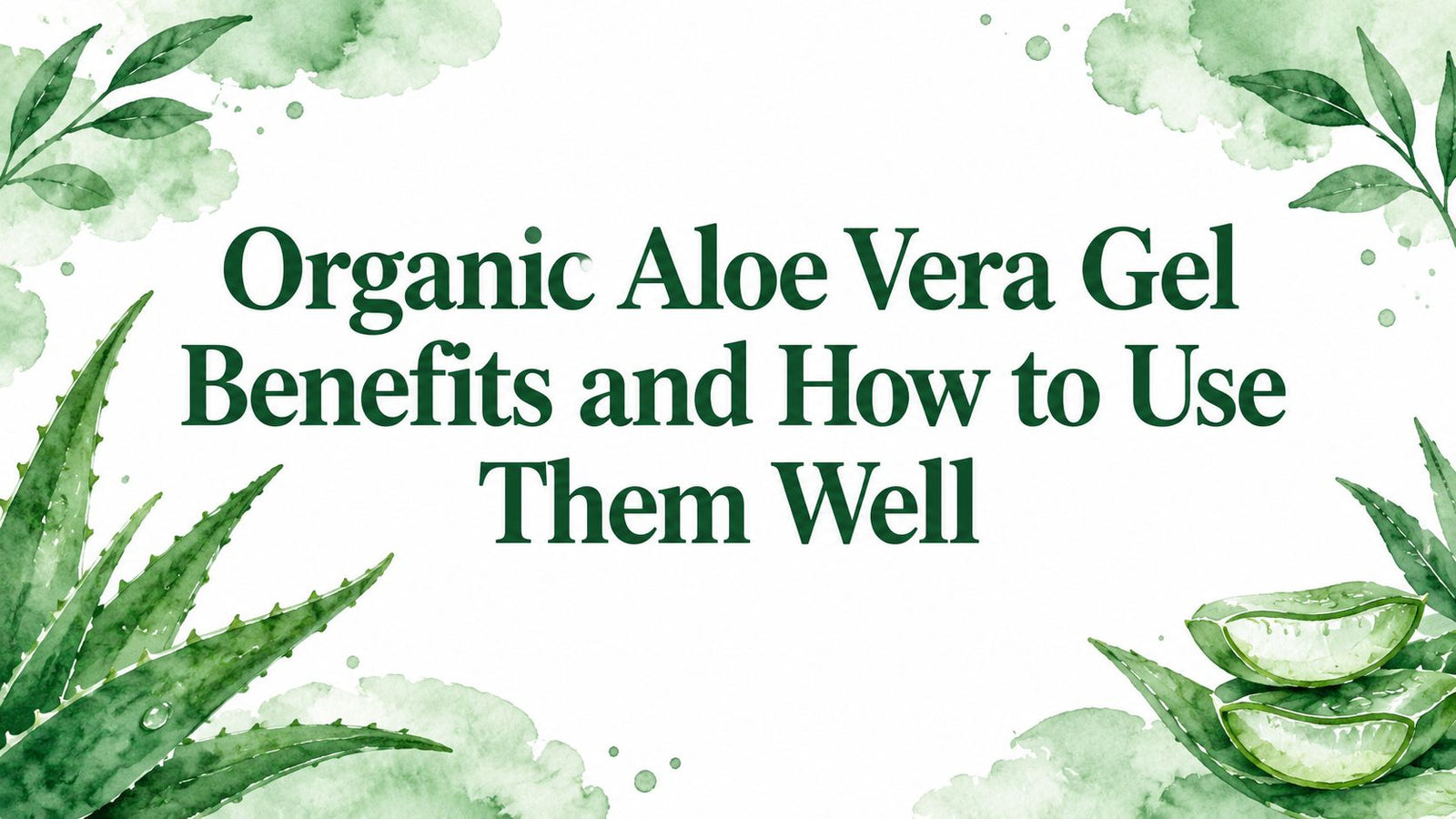 Organic Aloe Vera Gel Benefits and How to Use Them Well