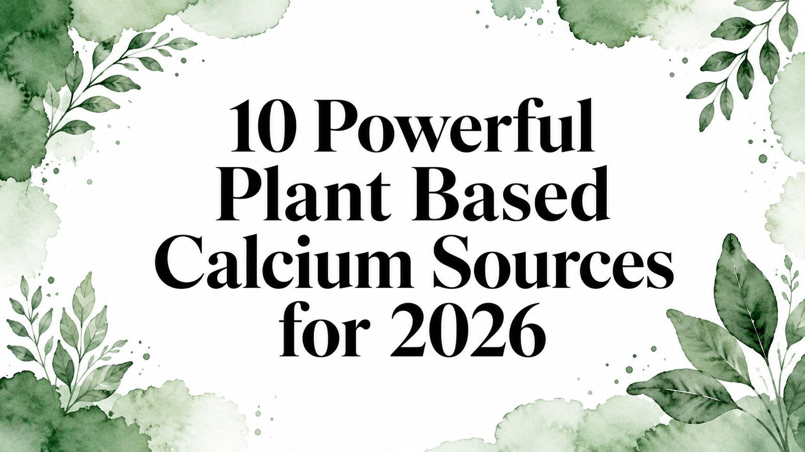 10 Powerful Plant Based Calcium Sources for 2026