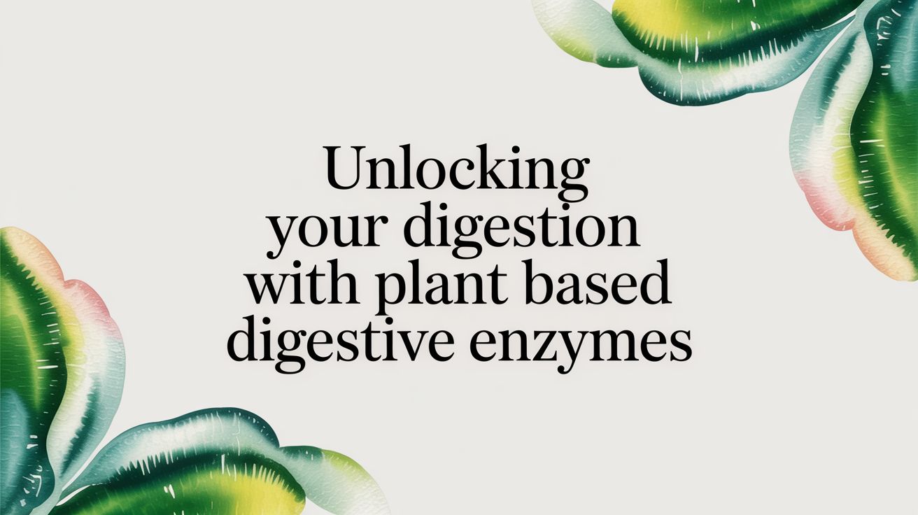 Unlocking Your Digestion with Plant Based Digestive Enzymes
