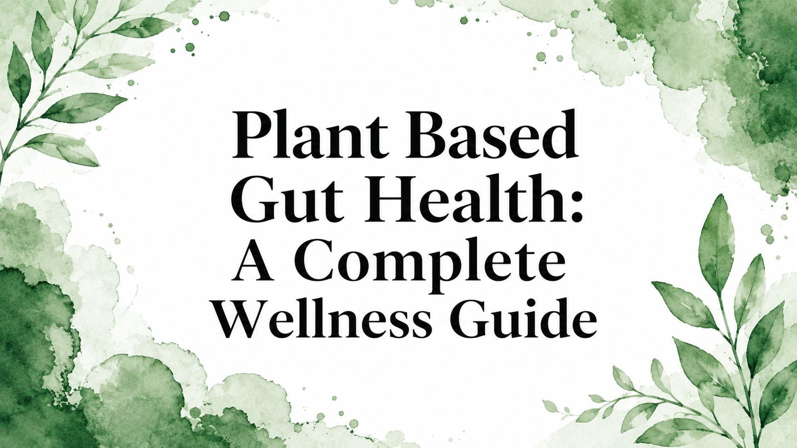 Plant Based Gut Health: A Complete Wellness Guide