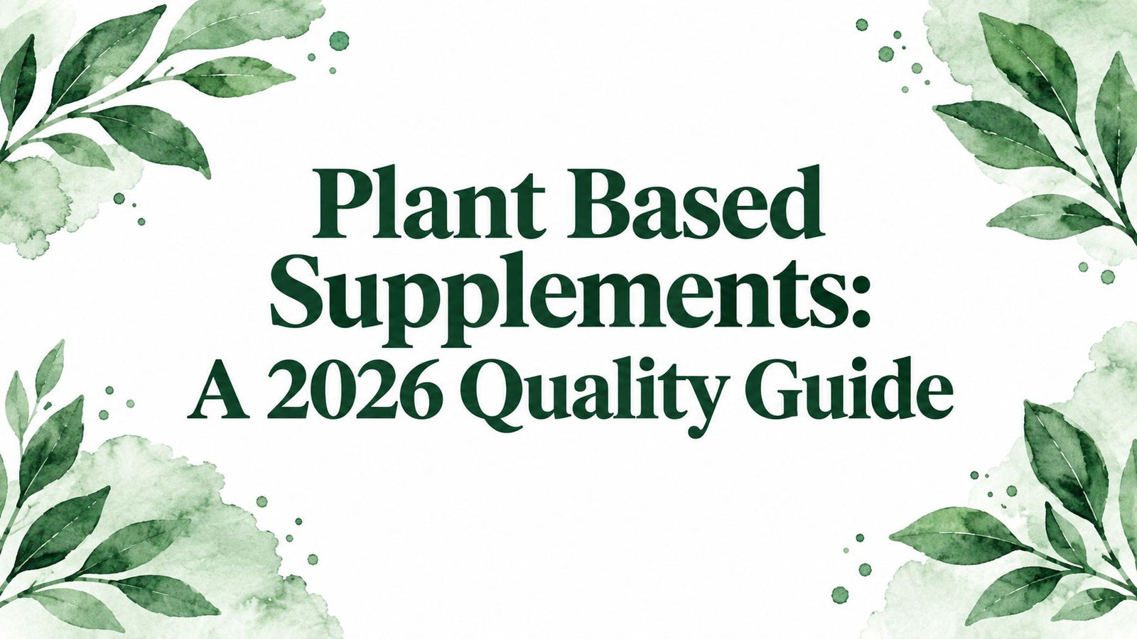 Plant Based Supplements: A 2026 Quality Guide