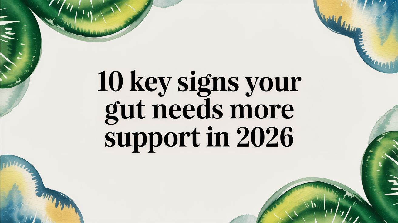 10 Key Signs Your Gut Needs More Support in 2026