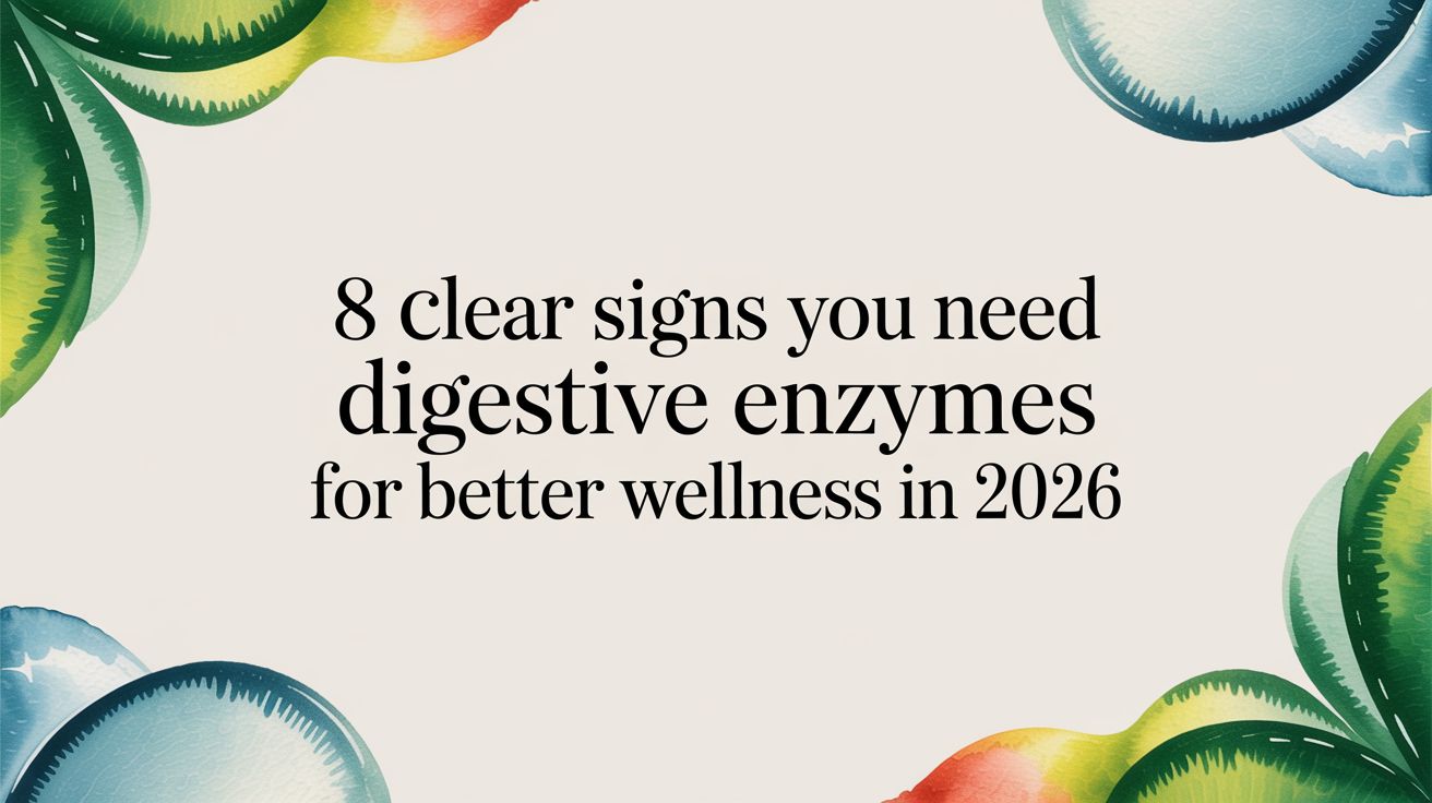 8 Signs You Need Digestive Enzymes for Better Wellness in 2026