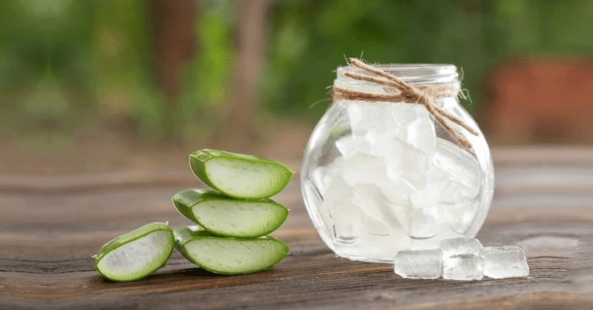 The History of Aloe Vera