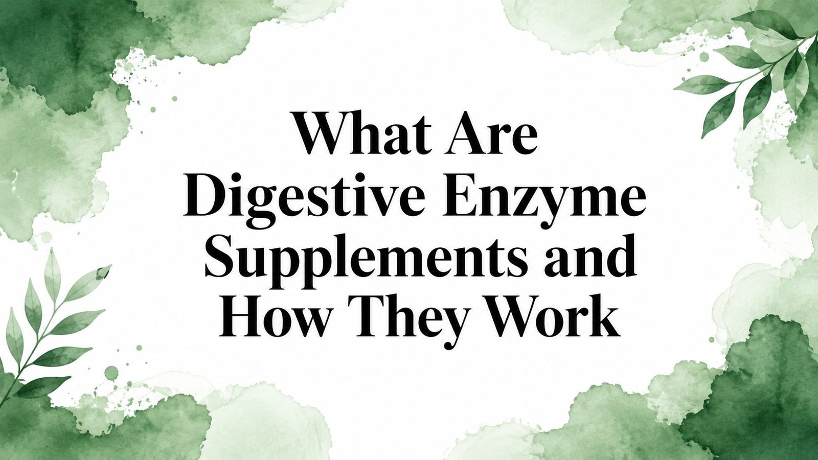 What Are Digestive Enzyme Supplements and How They Work