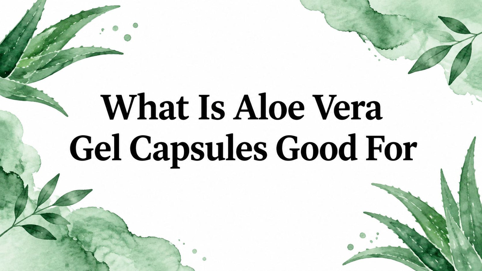 What Is Aloe Vera Gel Capsules Good For