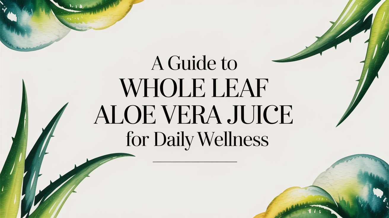 A Guide to Whole Leaf Aloe Vera Juice for Daily Wellness