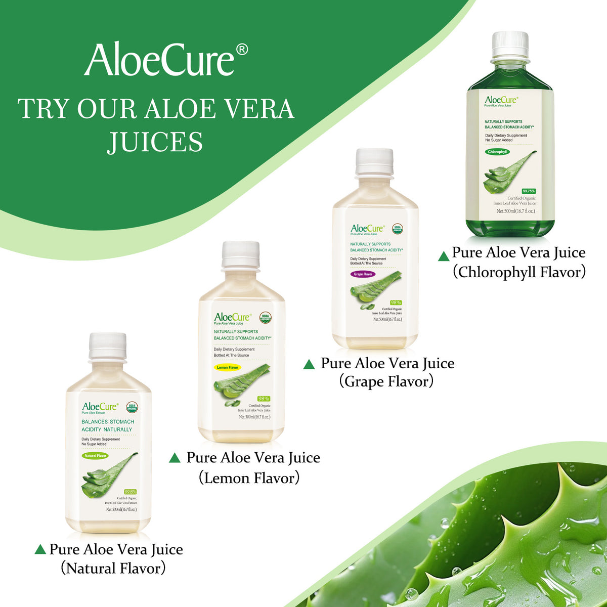 Pure Aloe Vera Juice with Chlorophyll ***NEW***
