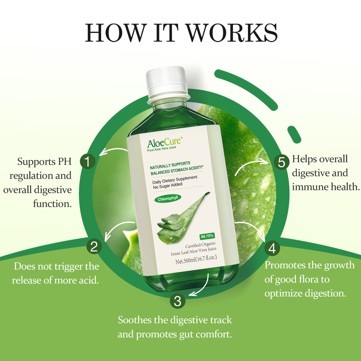 Pure Aloe Vera Juice with Chlorophyll ***NEW***