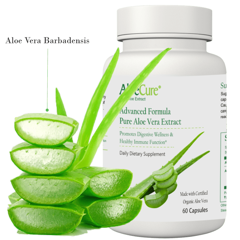 AloeCure Advanced Formula Aloe Capsules - AloeCure