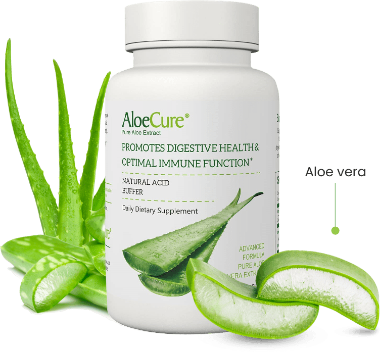 Aloe Digestive Essentials Bundle - Digestive Support with Probiotics + Enzymes, & Aloe Vera Gel