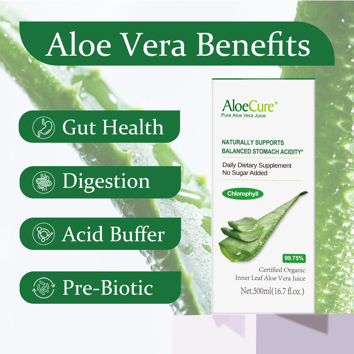 Pure Aloe Vera Juice with Chlorophyll ***NEW***