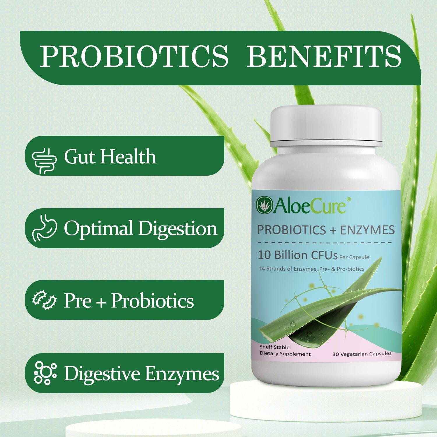 Pre+Probiotic & Digestive Enzyme Blend - AloeCure