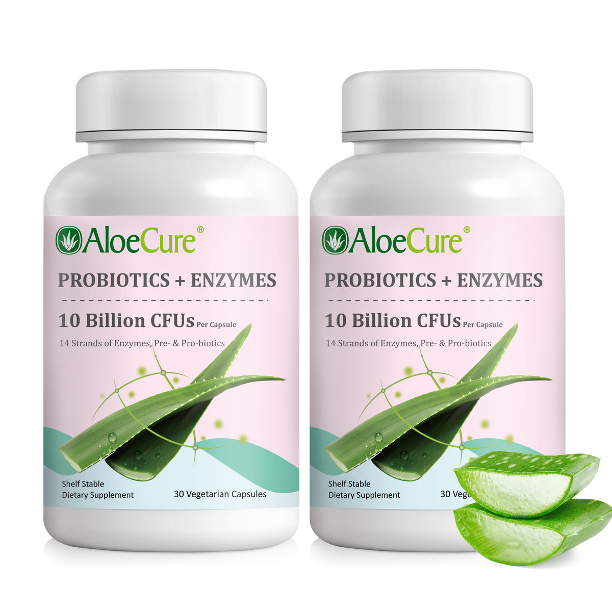 Mezcla de pre+probióticos y enzimas digestivas