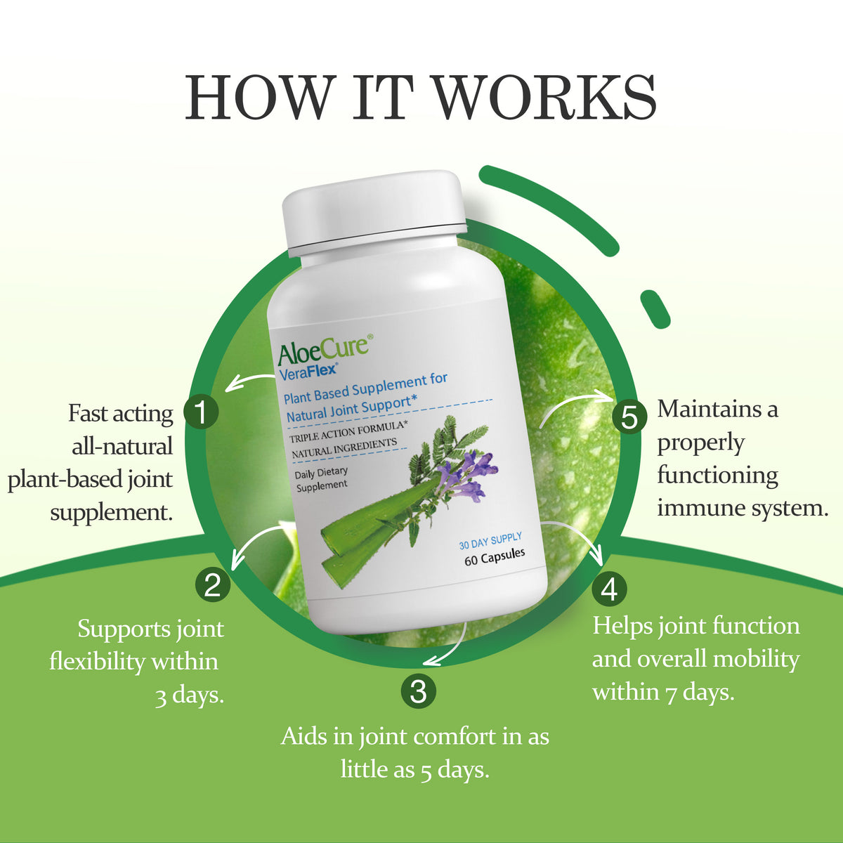 VeraFlex Soporte para articulaciones saludables